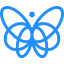 3.7 Designs