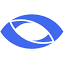 blackthorn-vision.com