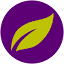 chilliapple